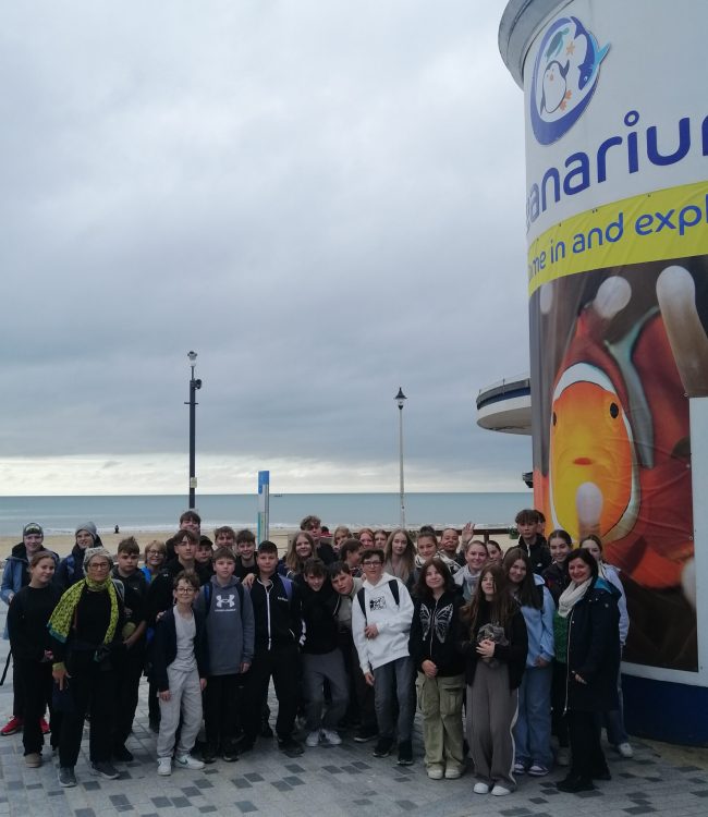 England_24_25_15