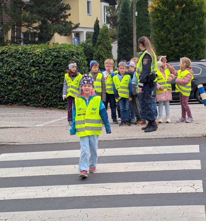 PXL_20251014_084315673